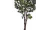 COCOmaison - Coco Maison - Scandinave - Eucalyptus Tree plante artificielle H180cm