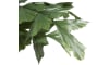 Henders & Hazel - Coco Maison - Palm Fishtail plante artificielle H135cm