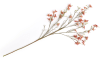 COCOmaison - Coco Maison - Authentique - Forsythia Branch fleur artificielle H150cm