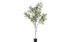 COCOmaison - Coco Maison - Landelijk - Eucalypthus Tree plant H195cm