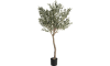 COCOmaison - Coco Maison - Landelijk - Olive Tree 180cm kunstplant