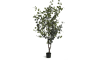 XOOON - Coco Maison - Eucalyptus Tree Kunstpflanze H180cm