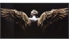H&H - Coco Maison - Angel Wings cadre 80x150cm