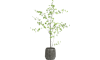 COCOmaison - Coco Maison - Rustikal - Tropaeolum Kunstpflanze H150cm