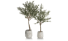 Henders & Hazel - Coco Maison - Olive Tree H180cm plante artificielle