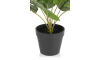 COCOmaison - Coco Maison - Rustikal - Calathea Orbifolia H45cm Kunstpflanze