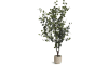 Henders & Hazel - Coco Maison - Eucalyptus Tree Kunstpflanze H180cm