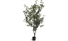 COCOmaison - Coco Maison - Scandinavisch - Eucalyptus Tree kunstplant H180cm