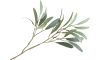 COCOmaison - Coco Maison - Landelijk - Olive Leaf Spray 82cm kunstbloem