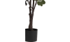 H&H - Coco Maison - Eucalyptus Tree plante artificielle H180cm