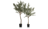 COCOmaison - Coco Maison - Authentique - Olive Tree H180cm plante artificielle