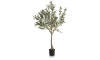 Henders & Hazel - Coco Maison - Olive Tree H150cm plante artificielle