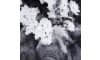 Henders & Hazel - Coco Maison - Flower Elephant Bild 100x68cm