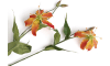 XOOON - Coco Maison - Gloriosa Spray fleur artificielle H90cm