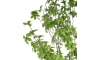 COCOmaison - Coco Maison - Authentique - Tropaeolum plante artificielle H210