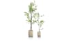 H&H - Coco Maison - Tropaeolum plante artificielle H210