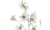 XOOON - Coco Maison - Clematis seed spray H105cm