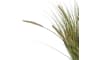 COCOmaison - Coco Maison - Rustikal - Pennisetum Grass plant H99cm