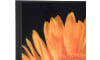 XOOON - Coco Maison - Sunflower toile imprimee 90x140cm