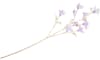 Henders & Hazel - Coco Maison - Bauhinia Branch H115cm fleur