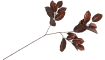COCOmaison - Coco Maison - Rustikal - Mulberry Leaves Kunstblume H85cm