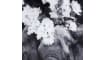 COCOmaison - Coco Maison - Scandinave - Flower Elephant toile imprimee 100x68cm