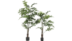 COCOmaison - Coco Maison - Authentique - Palm Fishtail plante artificielle H135cm