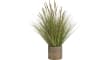 COCOmaison - Coco Maison - Authentique - Pennisetum grass plant H99cm