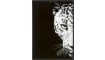 COCOmaison - Coco Maison - Modern - Cheetah fotoschilderij 70x100cm