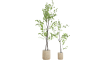 COCOmaison - Coco Maison - Rustikal - Tropaeolum Kunstpflanze H210cm