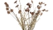 XOOON - Coco Maison - Dry Flower Bouquet - 57 cm