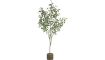 COCOmaison - Coco Maison - Authentique - Eucalypthus Tree plant H195cm
