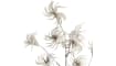 COCOmaison - Coco Maison - Rustikal - Clematis seed spray H105cm
