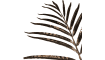 XOOON - Coco Maison - Areca Palm artificial flower H85cm