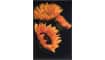 H&H - Coco Maison - Sunflower toile imprimee 90x140cm
