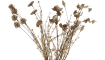 COCOmaison - Coco Maison - Dry Flower Bouquet - 57 cm