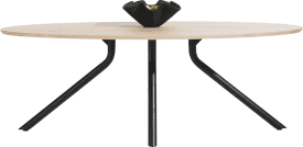 table 220 x 110 cm. - ellips - pied centrale long