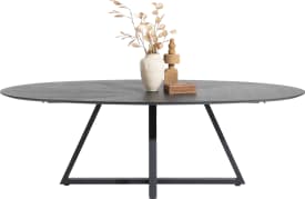 table elips 240 x 120 cm.