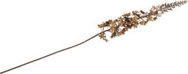 Eremurus fleur artificielle H105cm