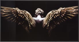 Angel Wings photo print 80x150cm