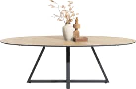 table elips 240 x 120 cm.