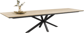 table 240 x 100 cm - metal