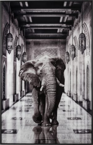 Walking Elephant Bild 90x140cm