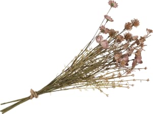 Dry Flower Bouquet - 57 cm
