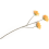 ?_TYPE:PRODUCT