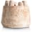 ?_TYPE:PRODUCT