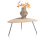 ?_TYPE:PRODUCT