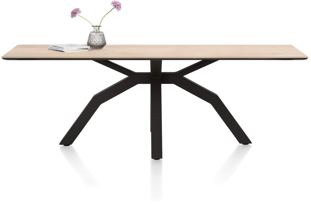 H&H - Vérone - Moderne - table 250 x 100 cm