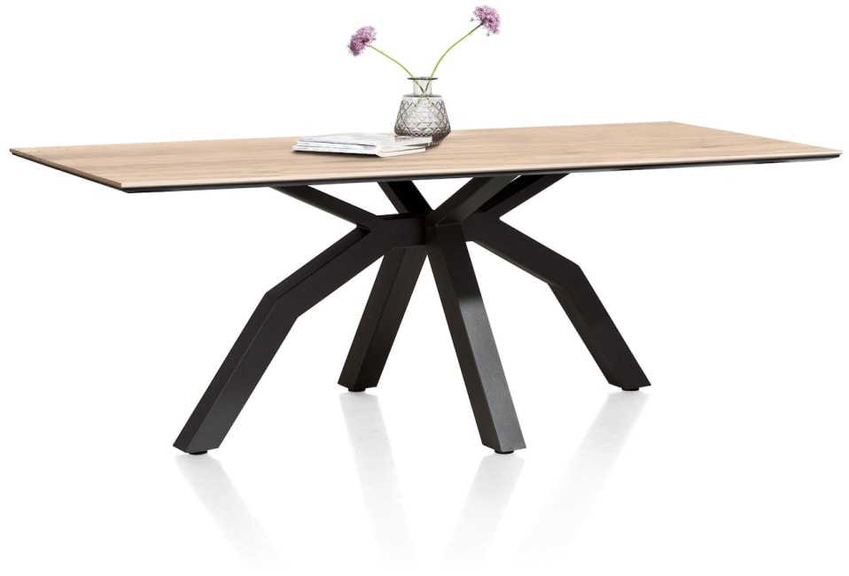 H&H - Vérone - Moderne - table 250 x 100 cm