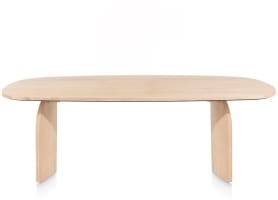 table 240 x 120 cm